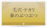 毛穴・テカリ 鼻のぶつぶつ