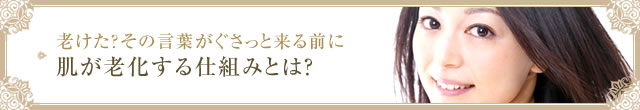 老けた？その言葉がぐさっと来る前に　肌が老化する仕組みとは？