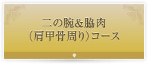 二の腕＆脇肉 （肩甲骨周り）コース