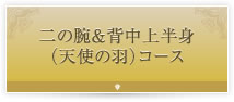 二の腕＆背中上半身 （天使の羽）コース