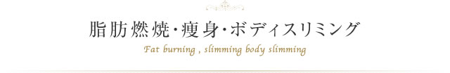 脂肪燃焼・痩身・ボディスリミング Fat burning , slimming body slimming