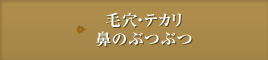 毛穴・テカリ鼻のぶつぶつ