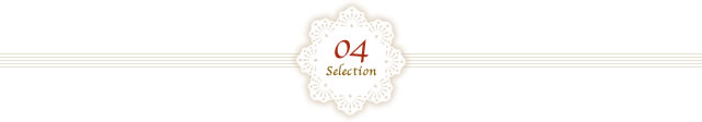 04Selection