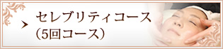 セレブリティコース(5回コース)