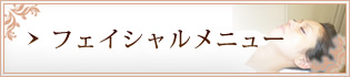 フェイシャルメニュー