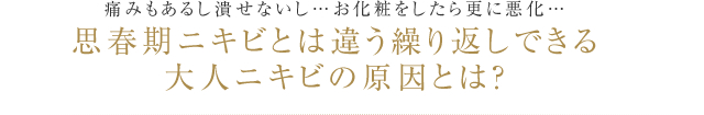 痛みもあるし潰せないし…お化粧をしたら更に悪化…思春期ニキビとは違う繰り返しできる大人ニキビの原因とは？